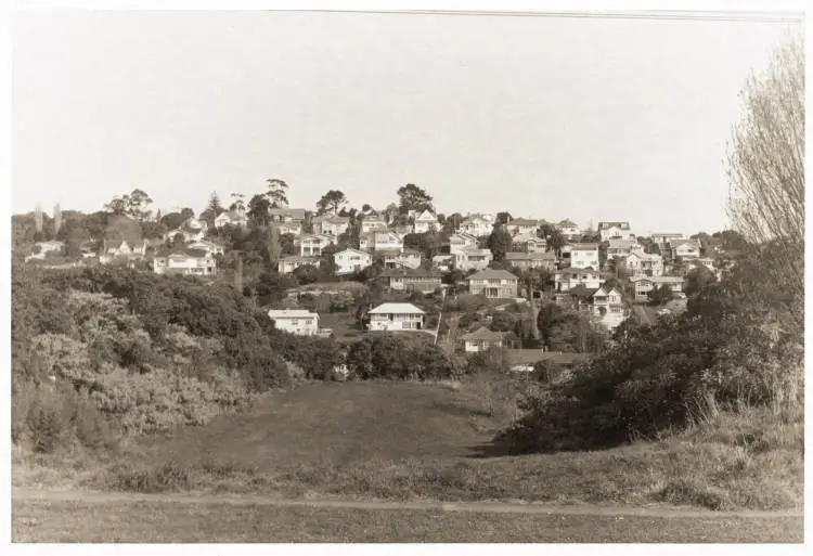 Watling Street Reserve, Mount Eden, 1963