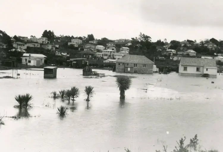 Wairau Creek in flood