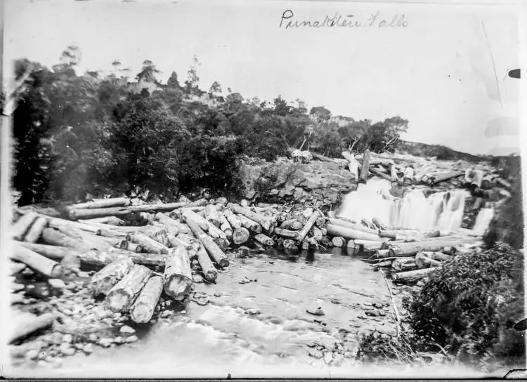 Punakitere Falls near Kaikohe, 1910