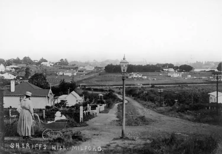 View from Sheriff's Hill, East Coast Road, Milford.