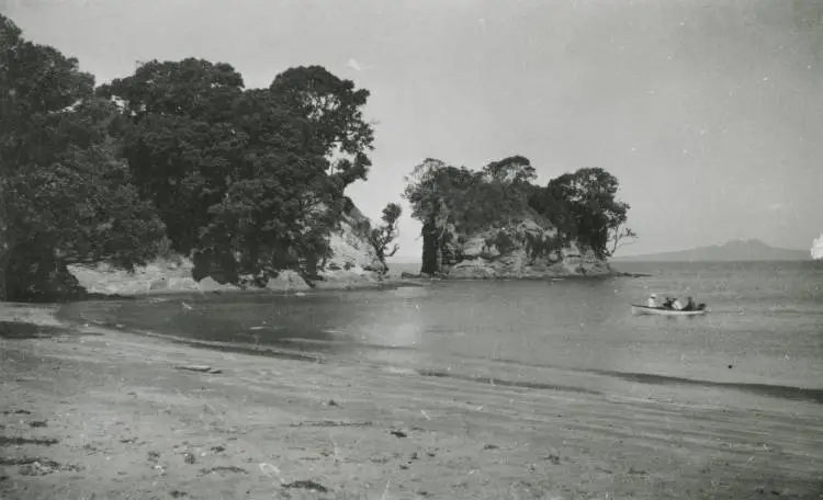 The Tor, Torbay, East Coast Bays.