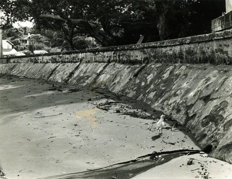 Breakwater wall at Castor Bay, North Shore.