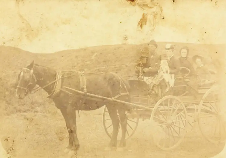 Hamilton family, Waiuku, ca 1885