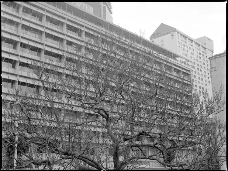 Bledisloe House, Auckland Central, 1993