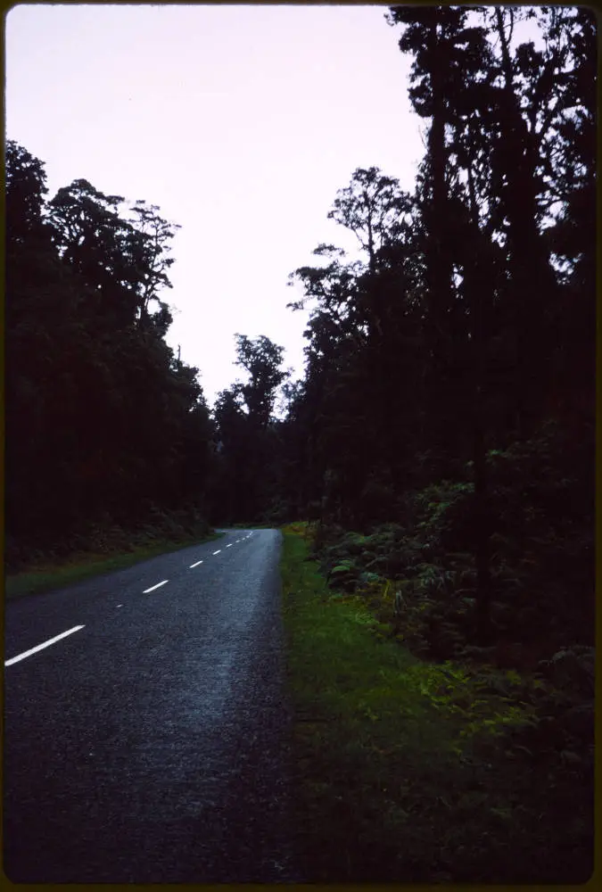 Country road through the forest, 1966