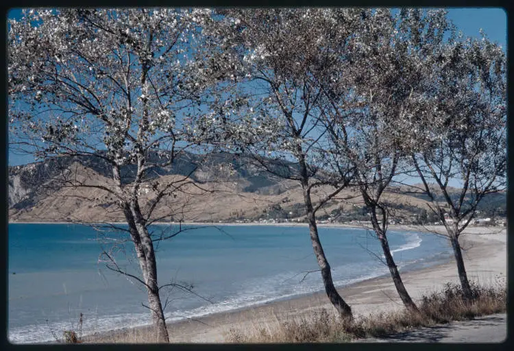 Tokomaru Bay, East Cape