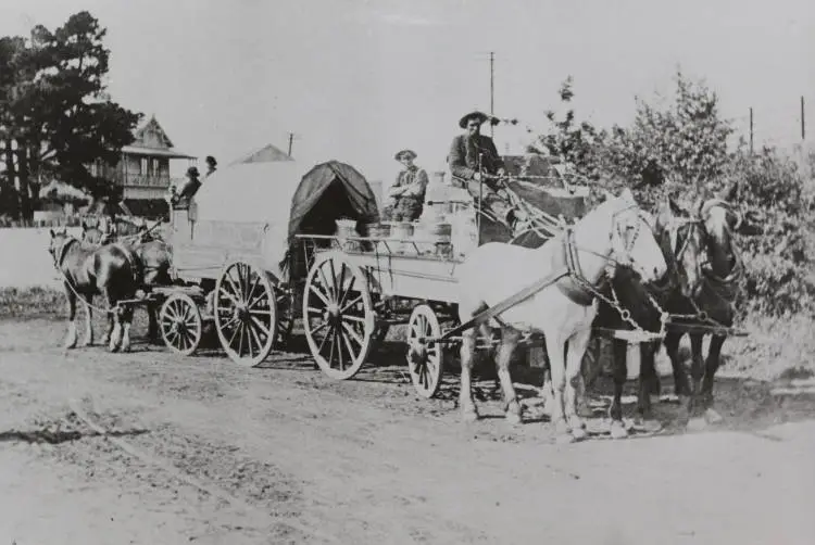 Mattson's milk, Pakuranga, circa 1910