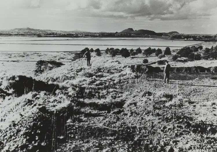 View from Otuataua, Māngere, 1960s