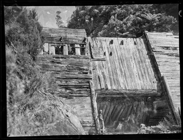 Remains of timber dam, Great Barrier Island