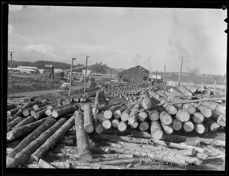 Tokoroa Timber Industry, 1952
