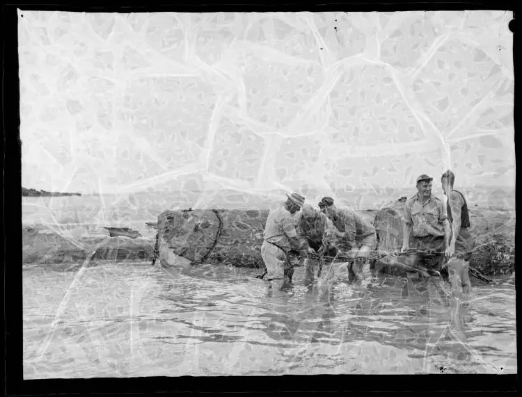 Timber Raft, Sandy Bay, Port Charles