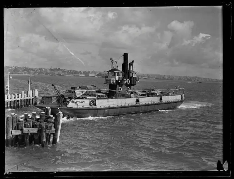 Mollyhawk Vehicular Ferry, Waitematā Harbour