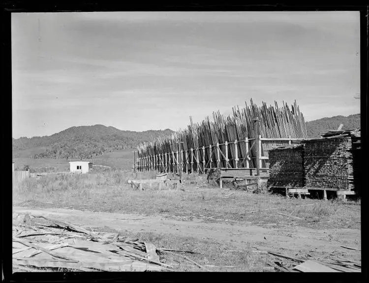 Te Whaiti Timber Mills, 1951