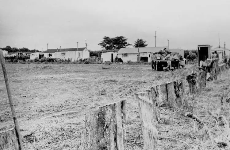 Market garden, Pukekohe, 1956