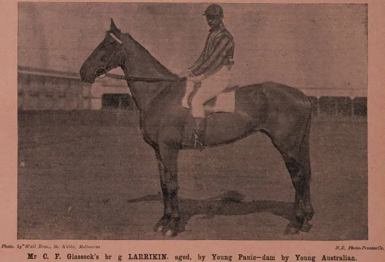 The winner of the Caulfield Grand National Steeplechase