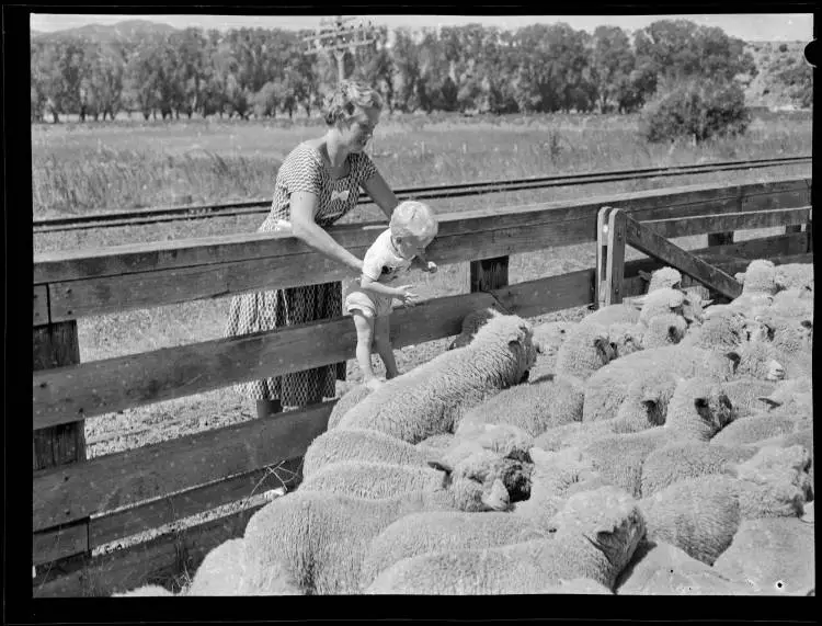 Hyde Sheep Station, Conway River, 1959