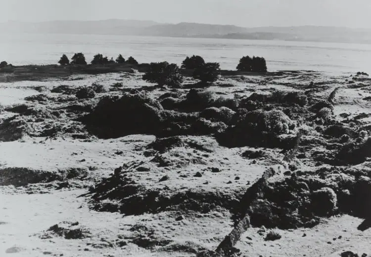 Otuataua stonefields, Māngere, 1960s