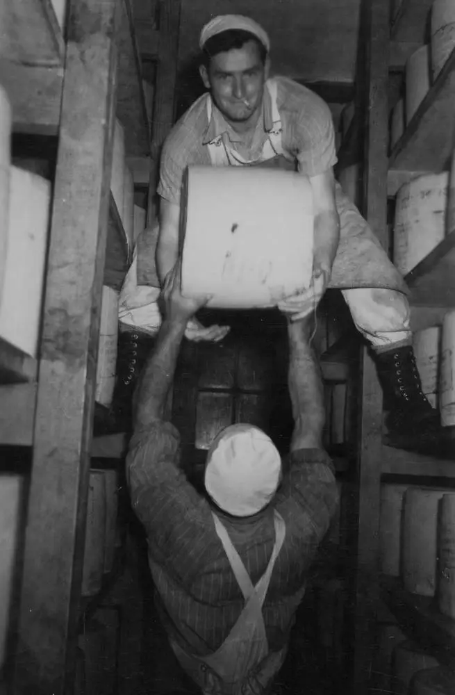 Storing cheeses, East Tamaki cheese factory, 1950s