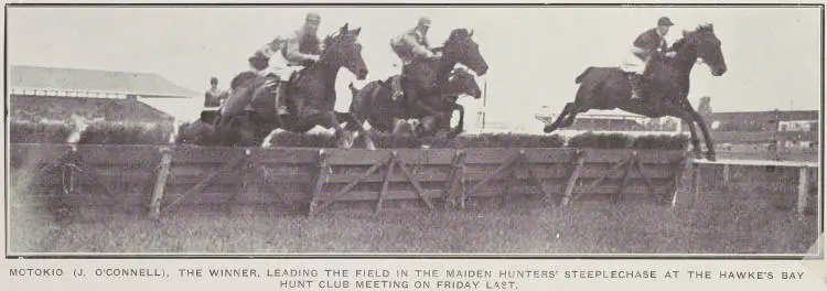 The Hawke's Bay spring racing carnival at Hastings