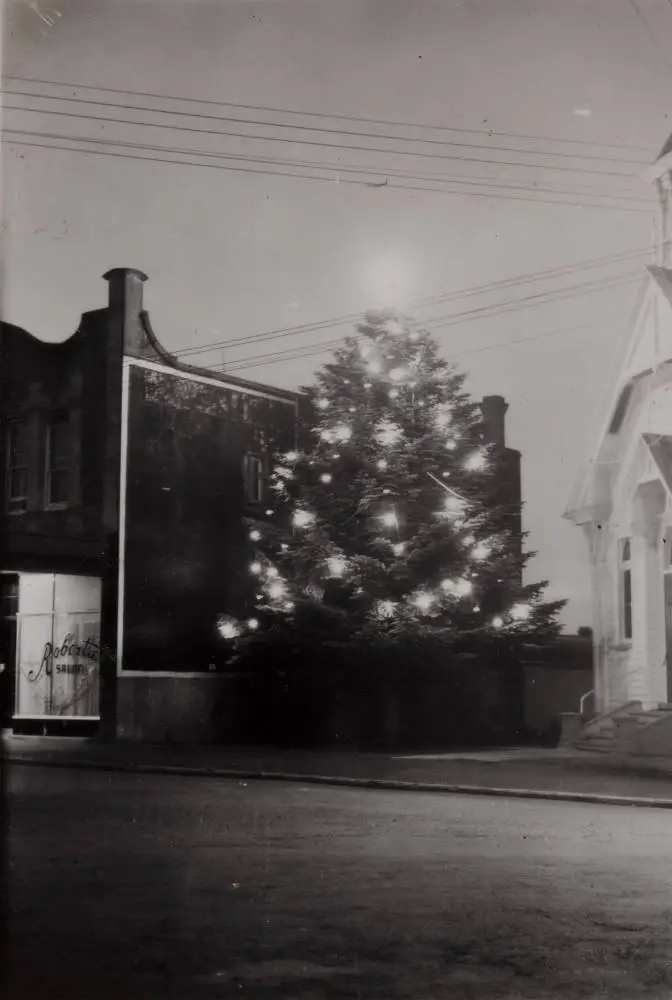Christmas tree, Pukekohe, 1953
