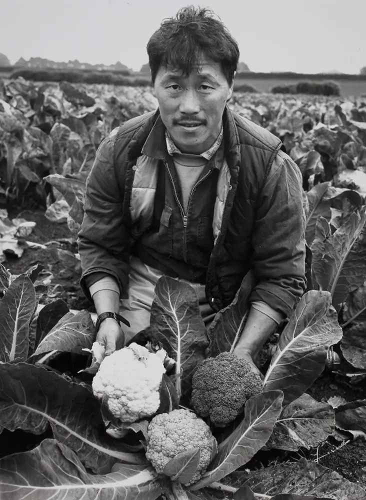 Market gardener, Mauku, 1991