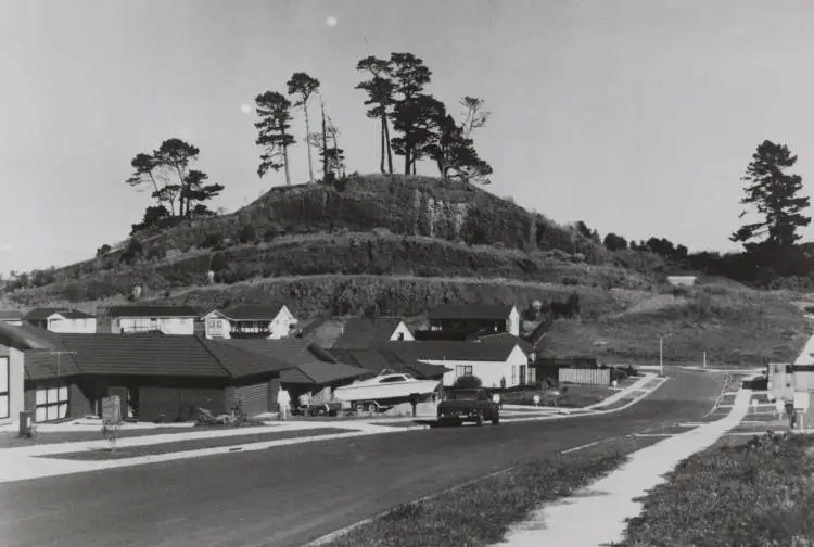 Pigeon Mountain, 1990.