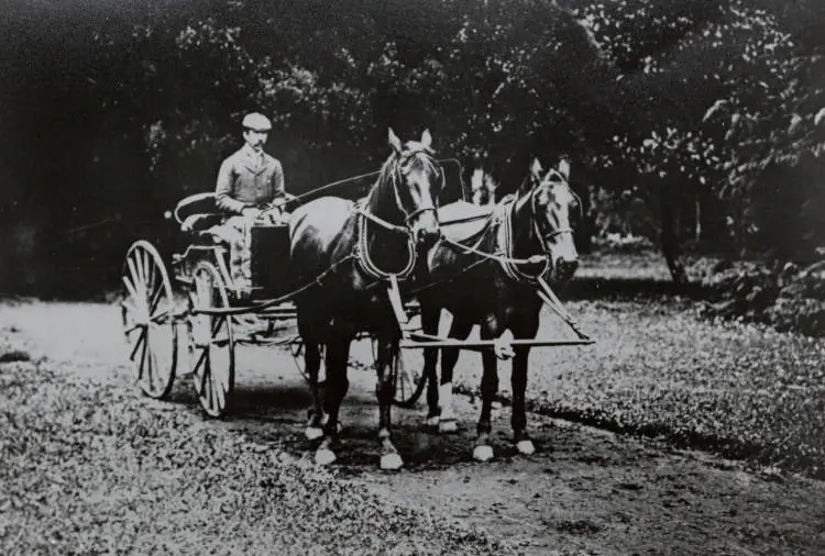 Wills McLaughlin at Puhi Nui, ca 1905.