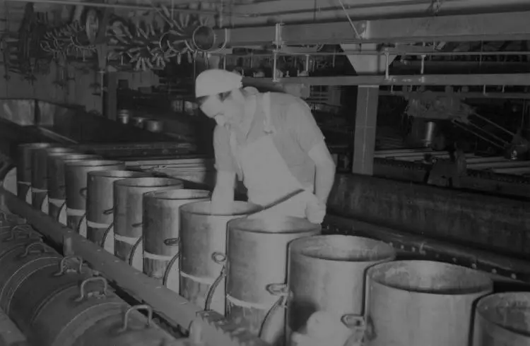 East Tamaki cheese factory, 1950s