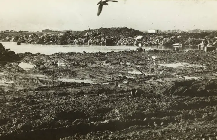 Troublesome tip, Onehunga, 1969