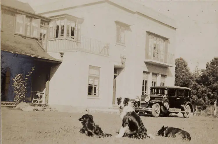 House and dogs, Totara Park, Manurewa, 1933