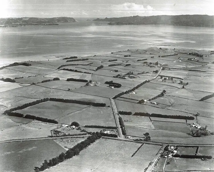 Aerial view of Māngere, 1949