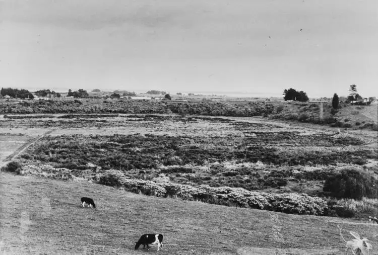 Pukaki crater, Māngere, 1961