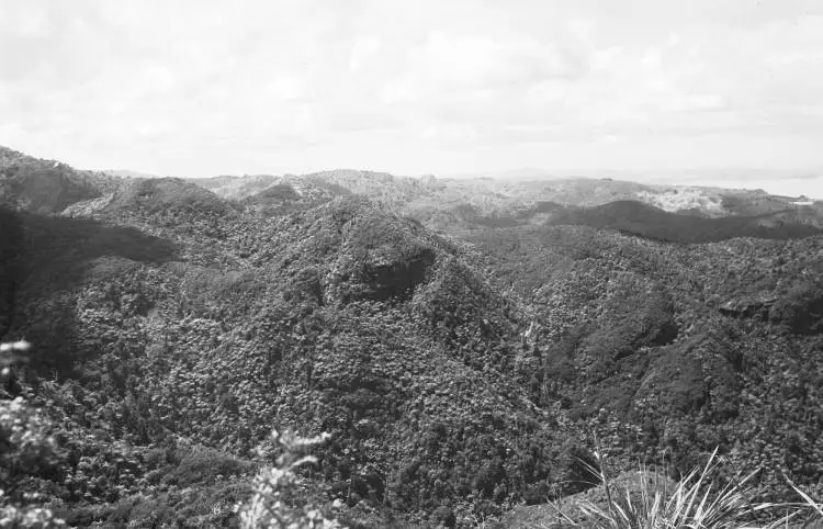 Mount Donald McLean to hills, Waitakere Ranges.