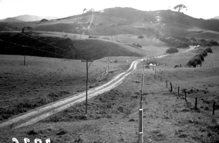 South Head, Awhitu Peninsula.