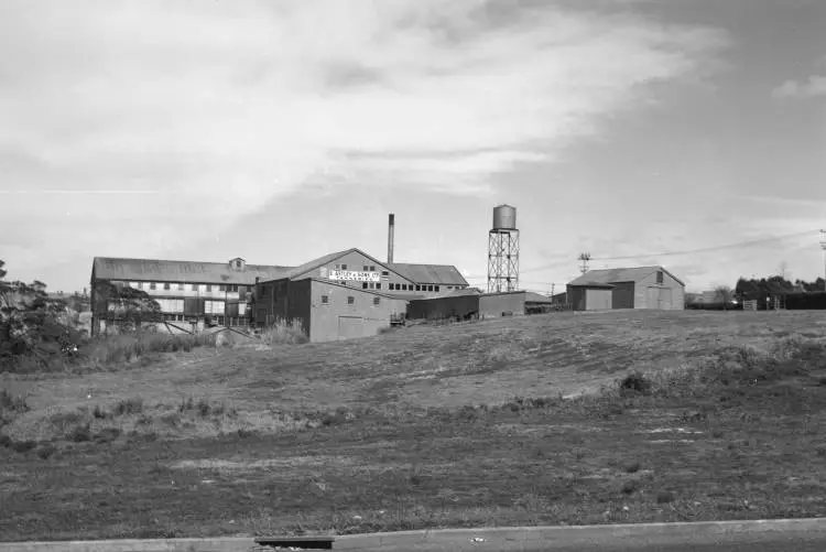 Astley Tannery works, New Lynn.