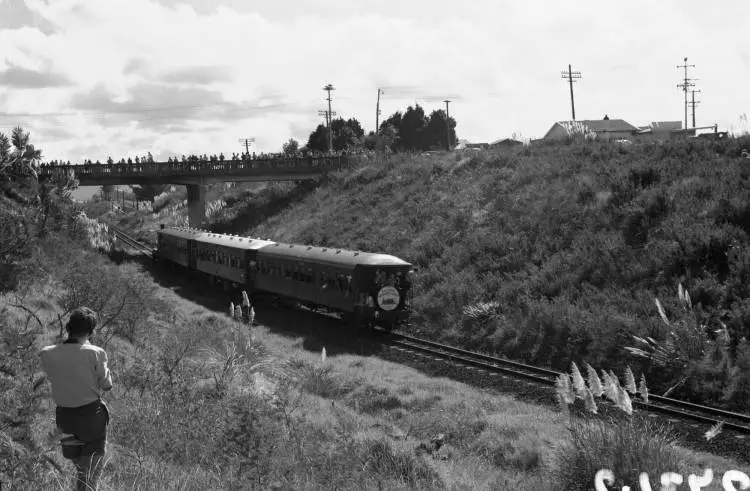 Steam train 'Meg Merrillies' near Glen Eden.