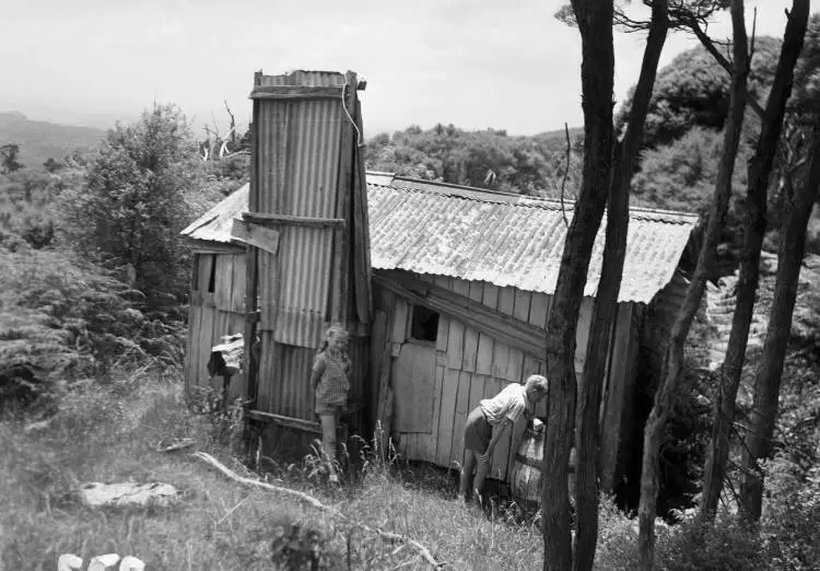 Shack, Cascade Kauri Park, Waitakere Ranges.