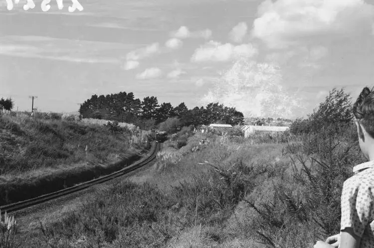 Steam train 'Meg Merrillies' near Glen Eden.