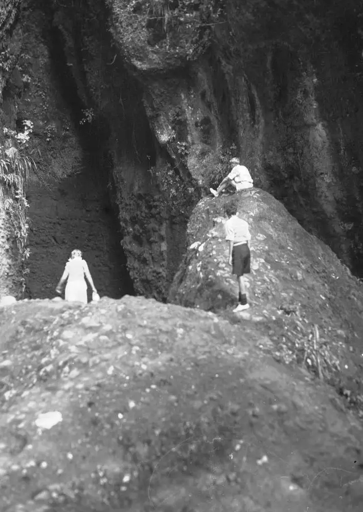 Rocks below Cascade Falls, Cascade Kauri Park.