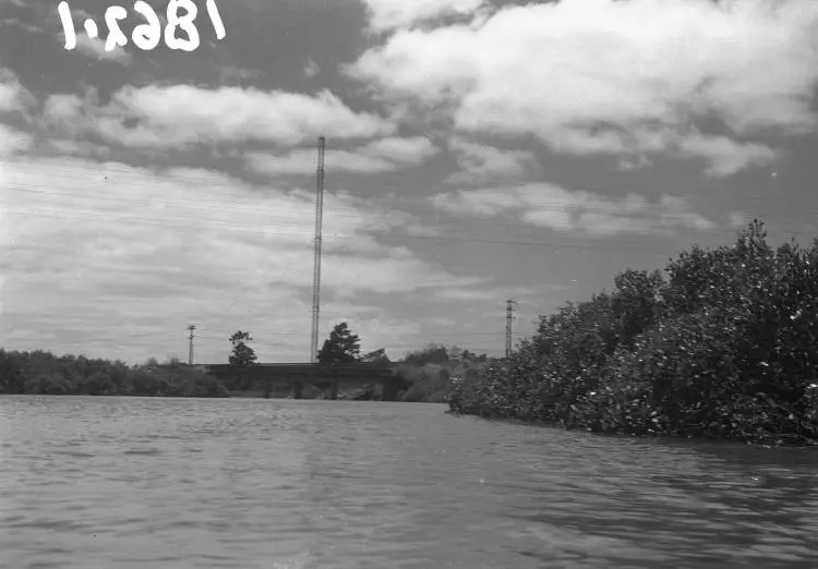 Motorway bridge and mast, Swanson inlet.