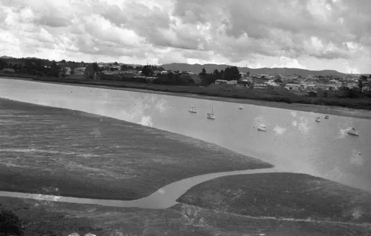 Panorama of Whau Creek.