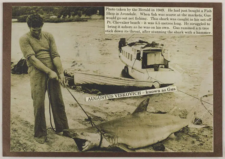 Gus Viskovich and a shark on Point Chevalier Beach.