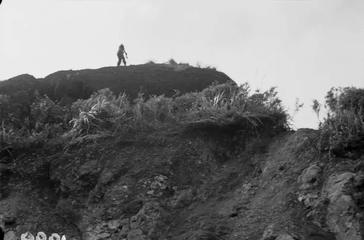 Construction work on Piha Road.