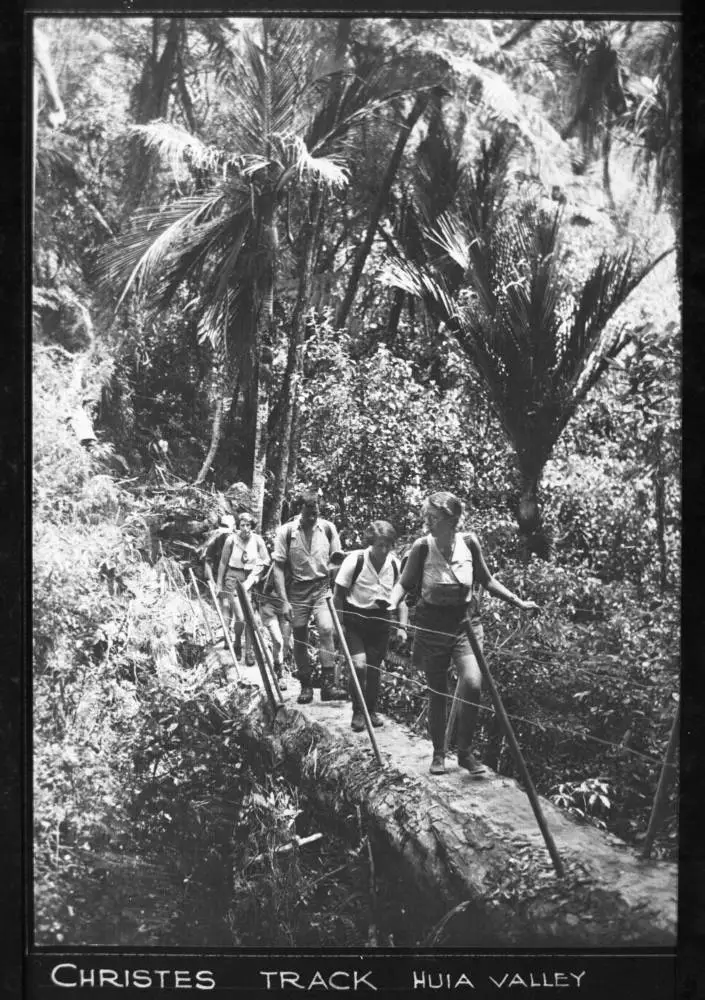 Bush bridge on Christies Track, Waitakere Ranges.