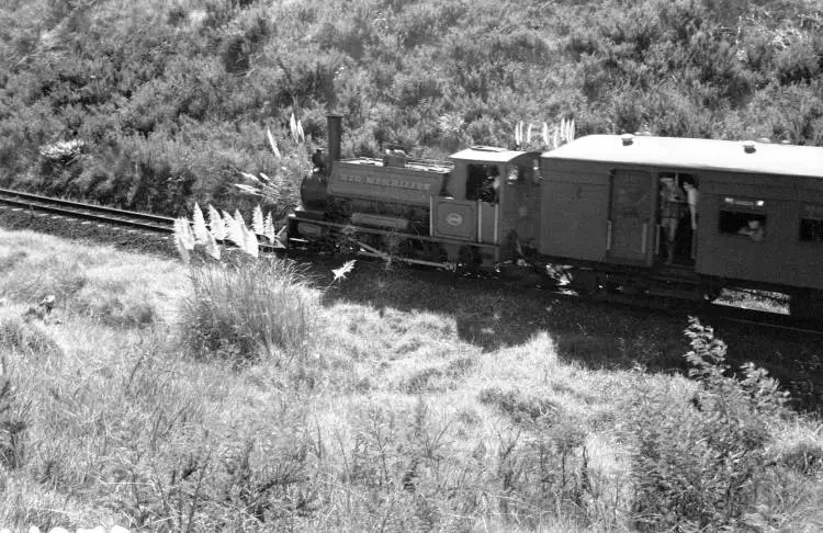 Steam train 'Meg Merrillies' near Glen Eden.