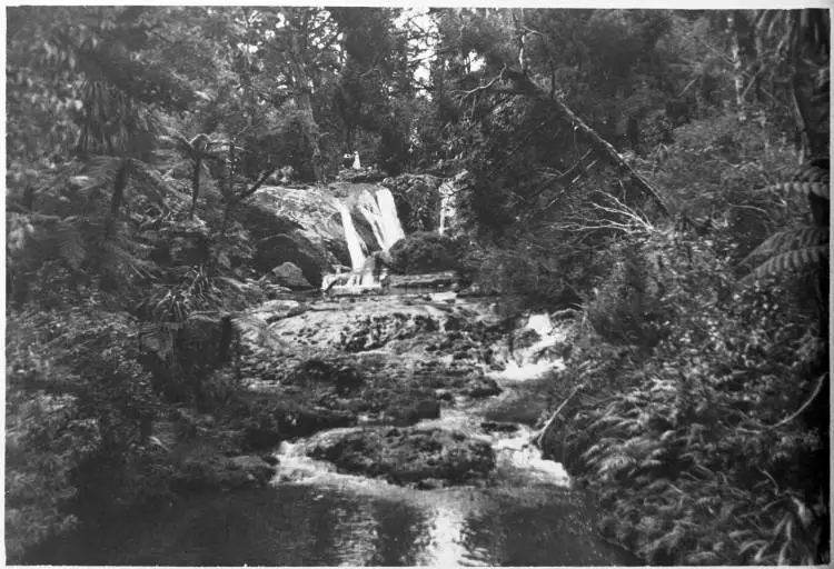 Cascades on the Nihotupu Stream, Waitakere Ranges.