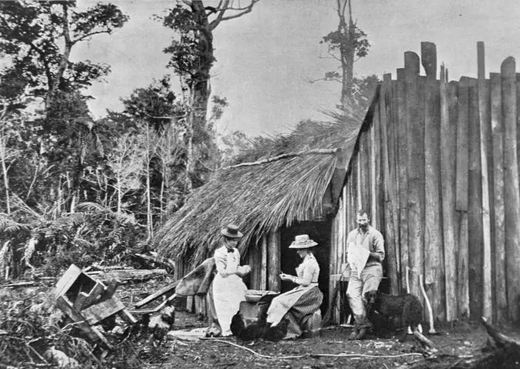 Nikau whare and slab chimney.