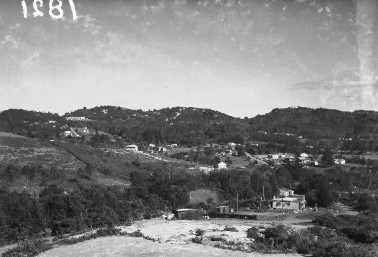 Atkinson valley from Titirangi Road.