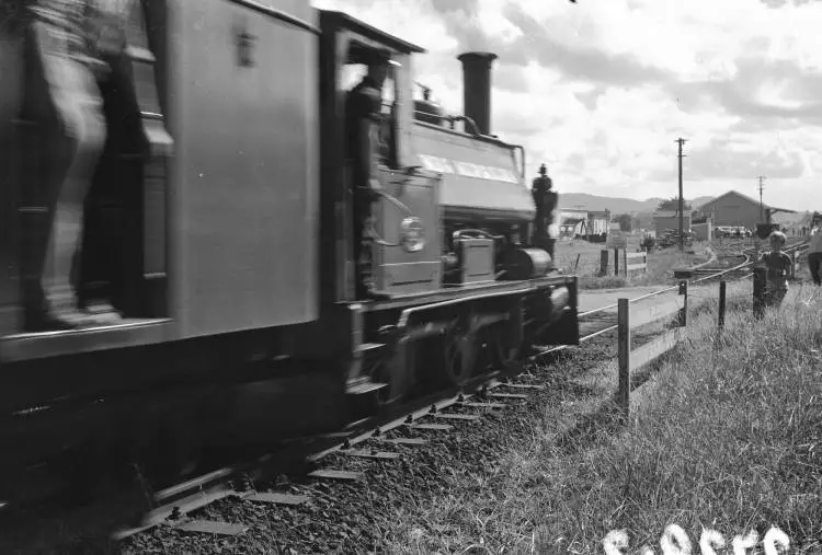 Steam train 'Meg Merrillies' at Glen Eden.