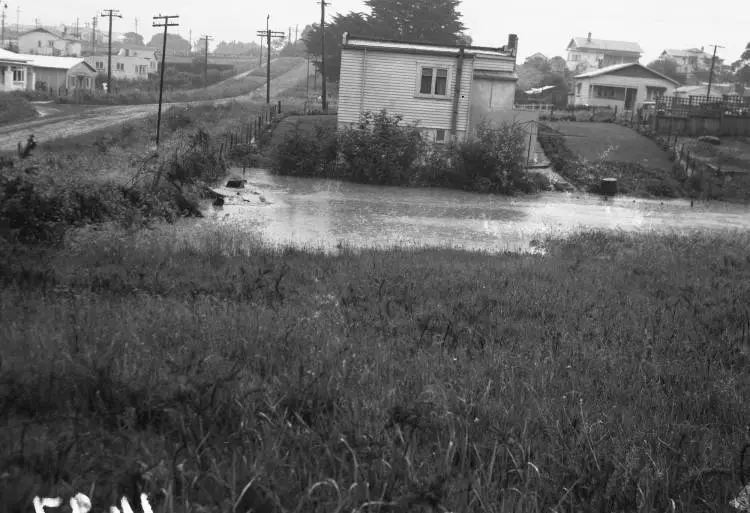 Scott Road, Glen Eden.